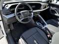 Audi Q5 NEW 2.0 Tdi Quattro 204cv S-tronic S-line edition Weiß - thumbnail 6