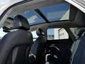 Audi Q5 NEW 2.0 Tdi Quattro 204cv S-tronic S-line edition Weiß - thumbnail 7
