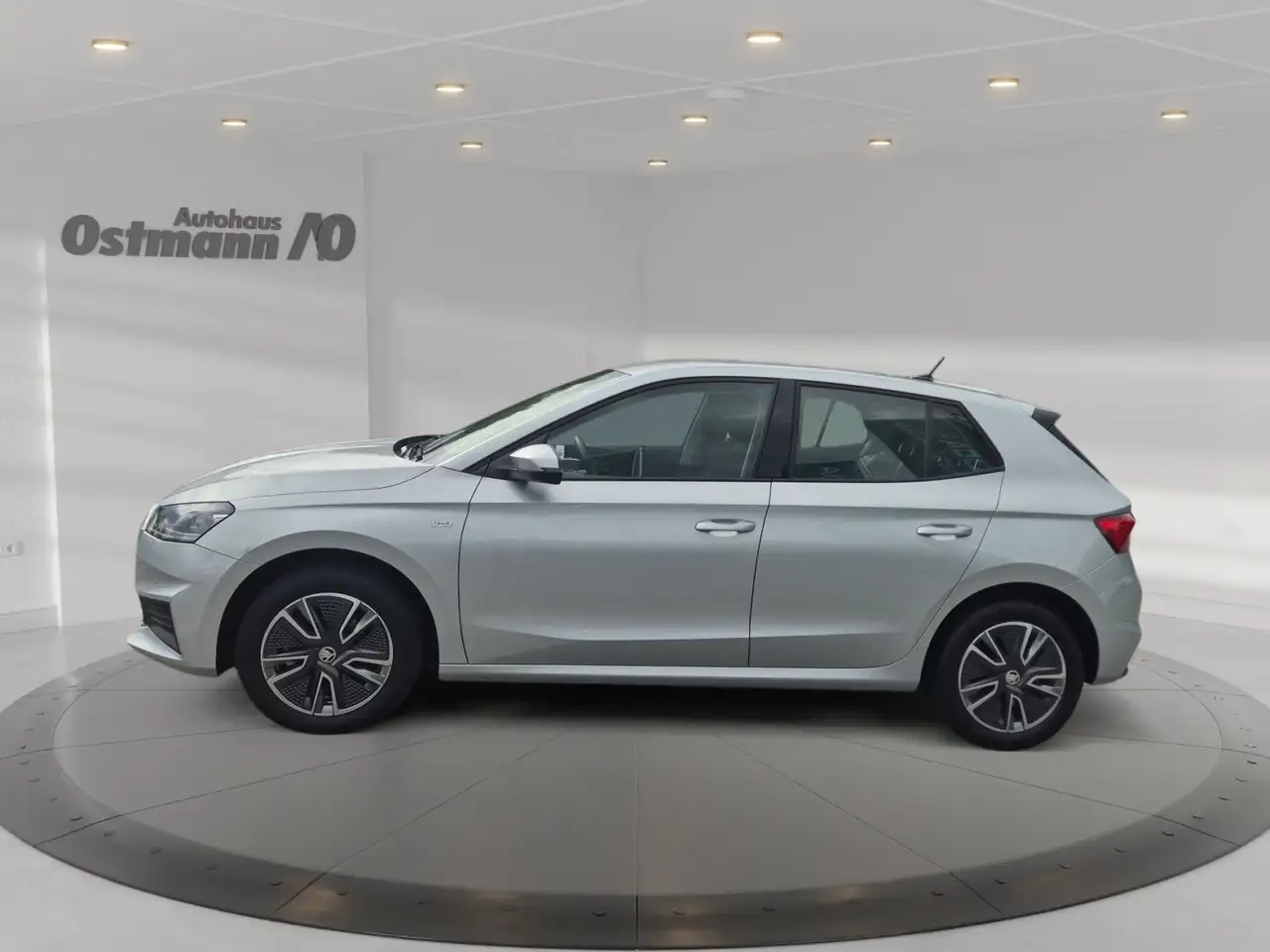 Skoda Fabia Tour 81kw TSI *Frontscheibe heizbar*SHZ*Einparkhil, миниатюра 3