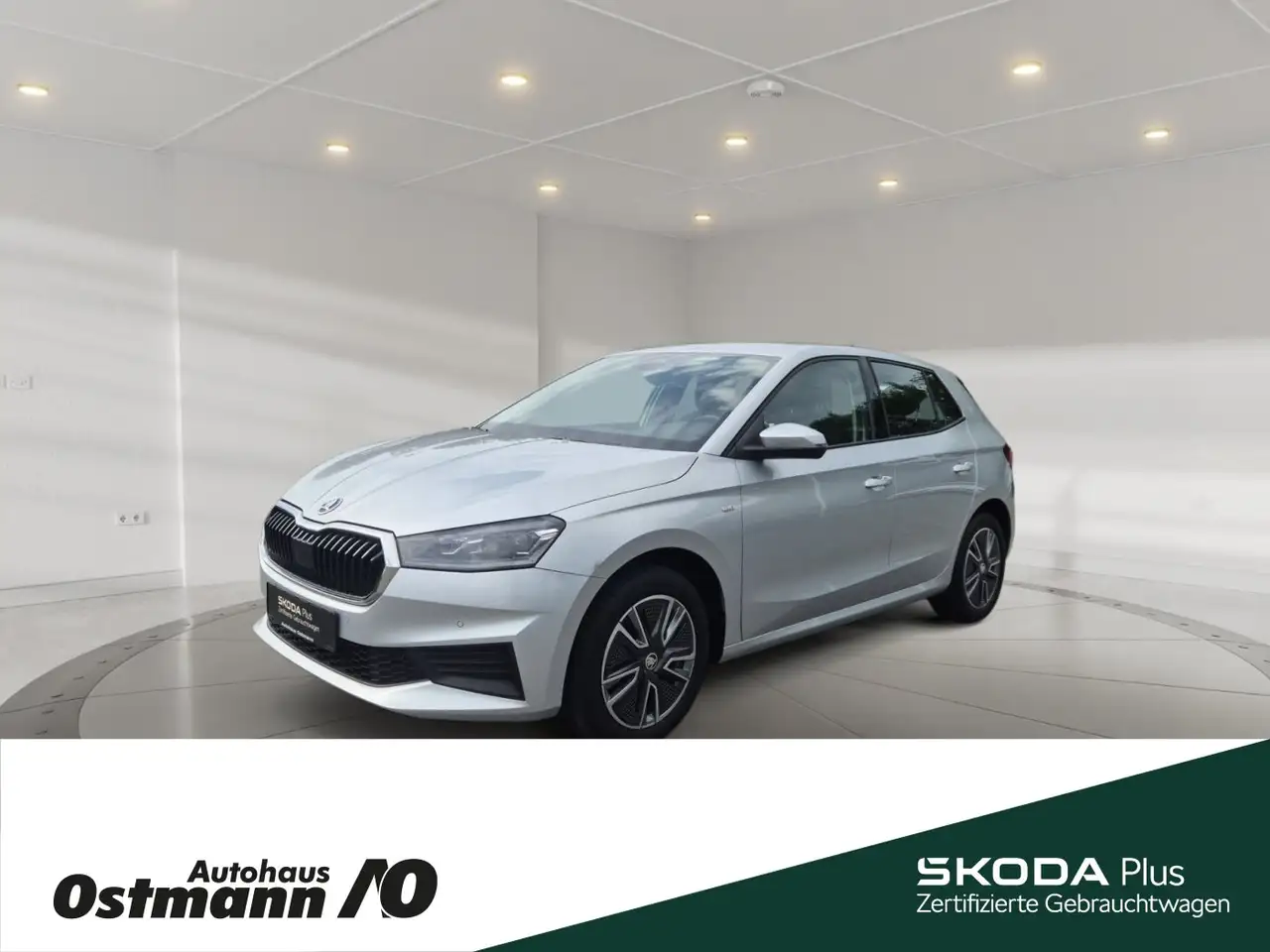 Skoda Fabia Tour 81kw TSI *Frontscheibe heizbar*SHZ*Einparkhil