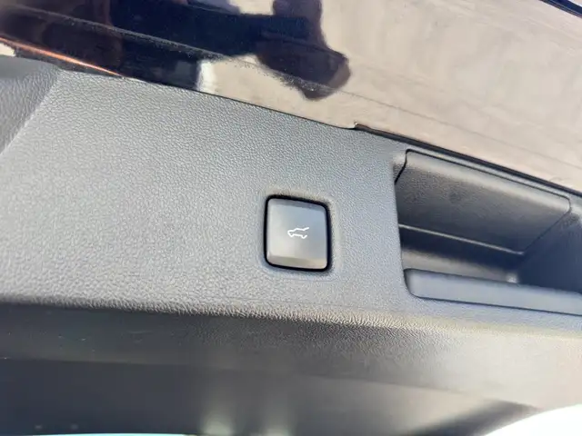 Ford Kuga view 13