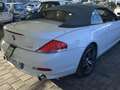 BMW 630 630Ci Cabrio Bianco - thumbnail 3