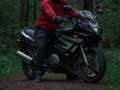 Suzuki GS 500 F Zwart - thumbnail 7
