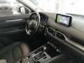 Mazda CX-5 CD150 AWD Edition 100 AT Grau - thumbnail 15