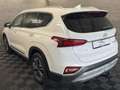 Hyundai SANTA FE Premium 4WD LED*Navi*ACC*AHK*360 Klima Weiß - thumbnail 6