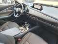 Mazda CX-30 Selection 2WD 1Hand Navi LED 48Tkm Grey - thumbnail 15