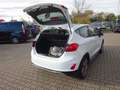 Ford Fiesta 100PS Autm. Active Plus Navi Pano B&O Weiß - thumbnail 11