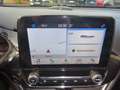 Ford Fiesta 100PS Autm. Active Plus Navi Pano B&O Weiß - thumbnail 16