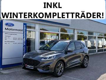 1,5 EcoBlue ST-Line Aut.