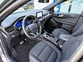 Ford Kuga 1,5 EcoBlue ST-Line Aut. Grau - thumbnail 14