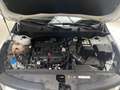 Kia Sportage 1.6T Edition 7 Emotion Klimaautomatik Blanc - thumbnail 20