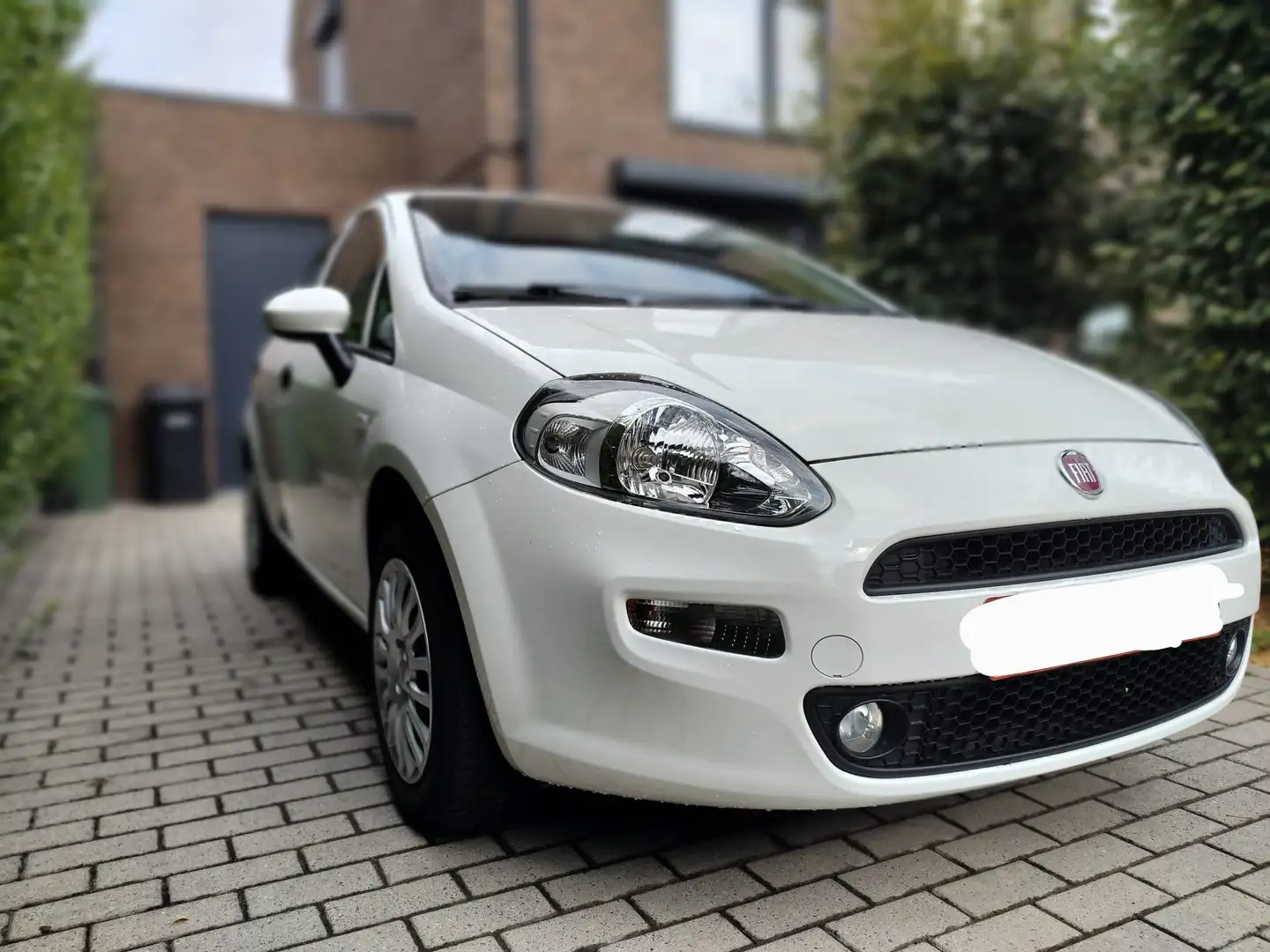 Fiat Punto Evo Blanc - 1