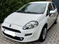 Fiat Punto Evo Blanc - thumbnail 2