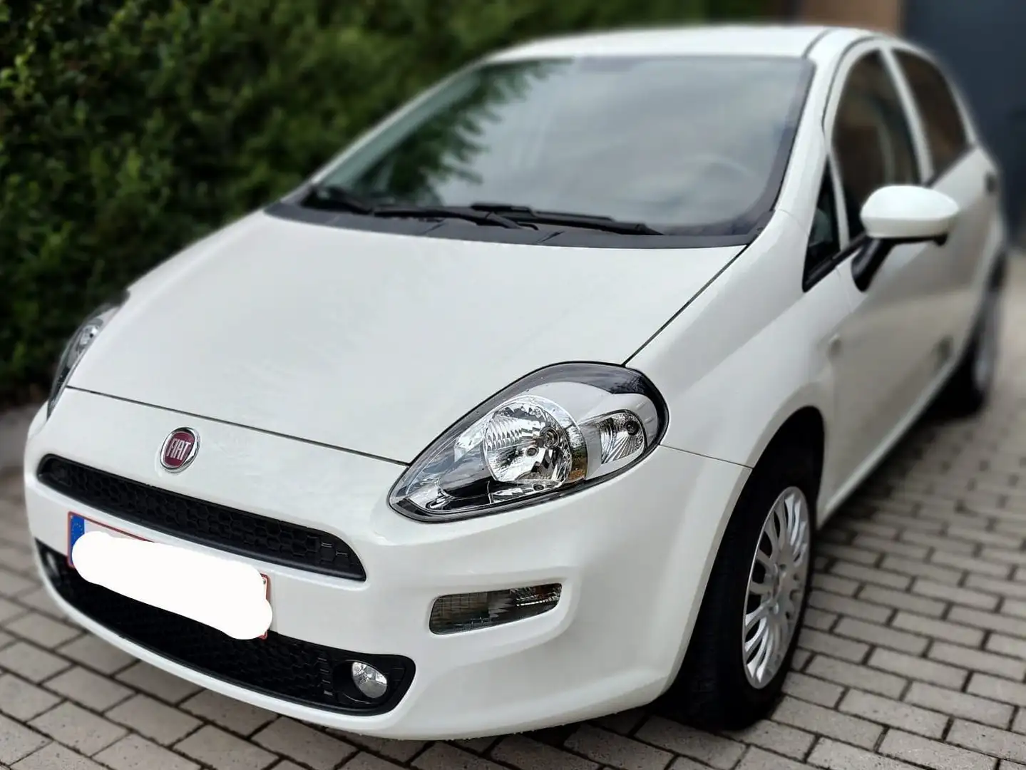 Fiat Punto Evo Blanc - 2
