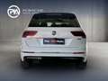 Volkswagen Tiguan Sky TDI SCR 4MOTION DSG Weiß - thumbnail 5