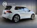 Volkswagen Tiguan Sky TDI SCR 4MOTION DSG Weiß - thumbnail 4