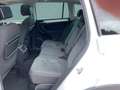 Volkswagen Tiguan Sky TDI SCR 4MOTION DSG Weiß - thumbnail 13
