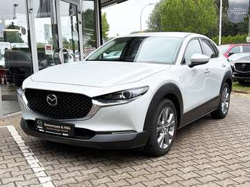 2.5 M Hybrid Takumi Leder