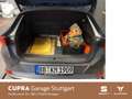 CUPRA Formentor 4Drive VZ 2.0 TSI DSG 228 kW Grün - thumbnail 15