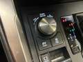 Lexus NX 300 300h Business Navigation 2WD Gris - thumbnail 12