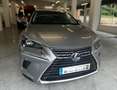 Lexus NX 300 300h Business Navigation 2WD Gris - thumbnail 3
