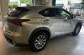 Lexus NX 300 300h Business Navigation 2WD Gris - thumbnail 6