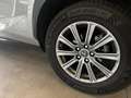Lexus NX 300 300h Business Navigation 2WD Gris - thumbnail 4