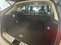 Lexus NX 300 300h Business Navigation 2WD Gris - thumbnail 19