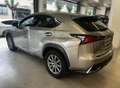Lexus NX 300 300h Business Navigation 2WD Gris - thumbnail 5