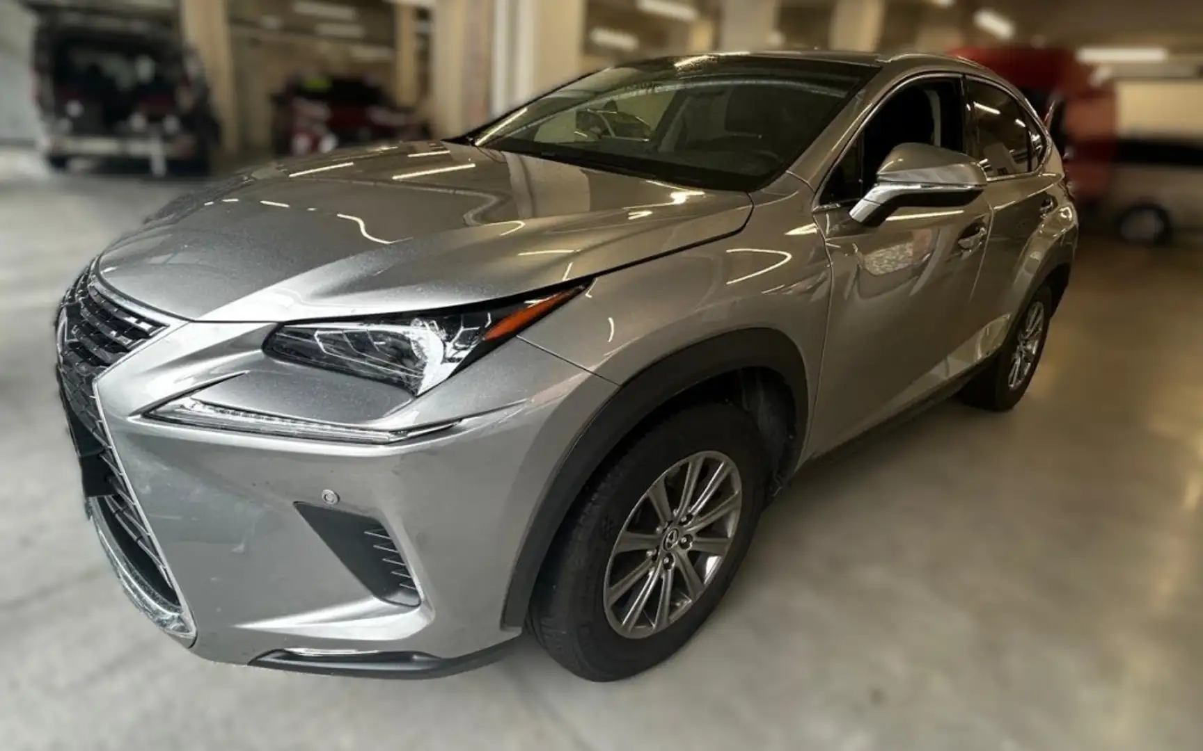 Lexus NX 300 300h Business Navigation 2WD Gris - 1