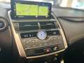 Lexus NX 300 300h Business Navigation 2WD Gris - thumbnail 15