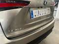 Lexus NX 300 300h Business Navigation 2WD Gris - thumbnail 7