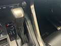 Lexus NX 300 300h Business Navigation 2WD Gris - thumbnail 16