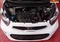 Kia Picanto Picanto 1.2i Easy Aut. * A/C * 214 X 48 MOIS * Wit - thumbnail 13
