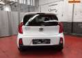 Kia Picanto Picanto 1.2i Easy Aut. * A/C * 214 X 48 MOIS * Wit - thumbnail 4