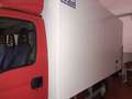 Iveco Daily furgone isotermico Rosso - thumbnail 3