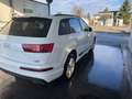 Audi Q7 Q7 3,0 TDI quattro Tiptronic S-line Weiß - thumbnail 7