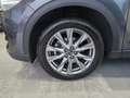 Mazda CX-5 CX-5 2.2 Signature awd 184cv auto my20 Gris - thumbnail 16