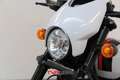 Harley-Davidson Street Rod Rod 750 abs Wit - thumbnail 18