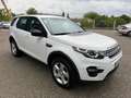 Land Rover Discovery Sport 2.0 ED4 150CH 2WD BUSINESS MARK I Weiß - thumbnail 4