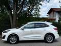 Ford Kuga 2,0 TDCi Aut. Vignale*Leder*HUD*Bang&Olufsen*VOLL* Weiß - thumbnail 7