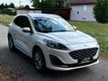 Ford Kuga 2,0 TDCi Aut. Vignale*Leder*HUD*Bang&Olufsen*VOLL* Weiß - thumbnail 3