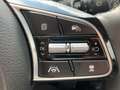 Kia XCeed Vision 1.5 Automatik Kamera Lenkradheizung Schwarz - thumbnail 13