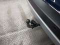 Ford Kuga 1.5 EcoBlue Titanium LED AHK Winterpaket Blau - thumbnail 17