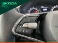 Skoda Fabia 1.0 tsi evo 95cv ambition - thumbnail 8