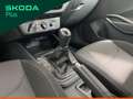Skoda Fabia 1.0 tsi evo 95cv ambition - thumbnail 14