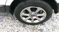 Ford EcoSport 1.5 ecoblue Titanium s&s 100cv my19 Bianco - thumbnail 12