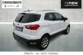 Ford EcoSport 1.5 ecoblue Titanium s&s 100cv my19 Bianco - thumbnail 4