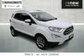 Ford EcoSport 1.5 ecoblue Titanium s&s 100cv my19 Bianco - thumbnail 2