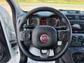 Fiat Panda 1.0 firefly hybrid City Life PRONTA CONSEGNA Weiß - thumbnail 14